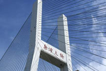 上海南浦大桥天气