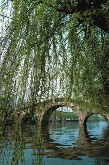 上海普济桥