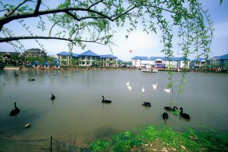 上海申隆生态园