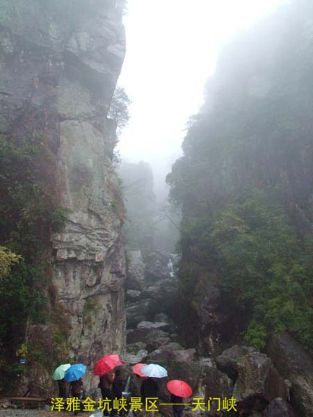 温州泽雅金坑峡天气