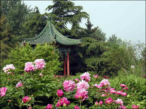 济南植物园天气