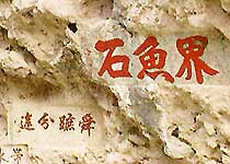 江川界鱼石